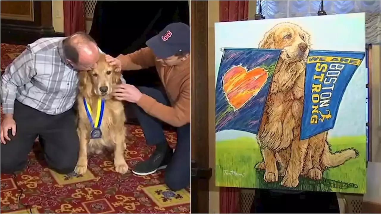 Dog Known for ‘Boston Strong' Sign at Marathon Dies After Cancer Battle