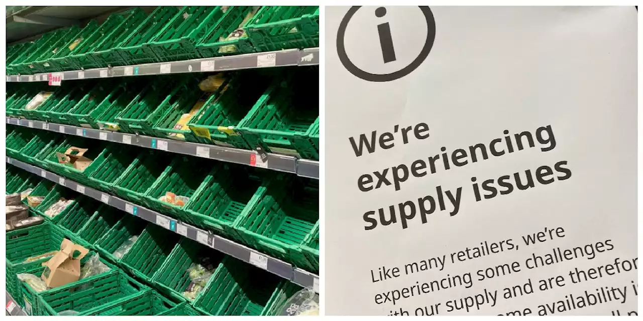 Supermarkets start rationing: The rules shoppers need to know as shortage warning continues