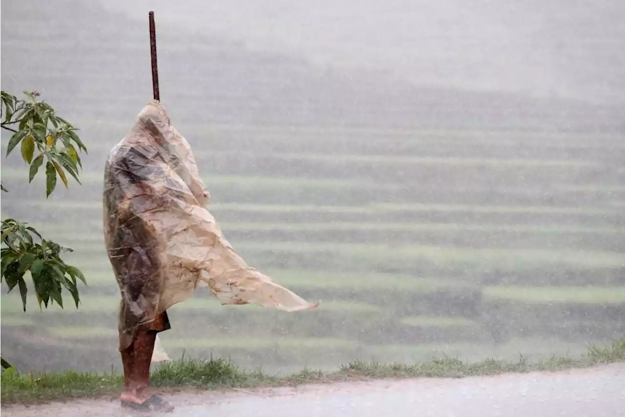 Intense cyclone Freddy lashes Madagascar, kills one | News24