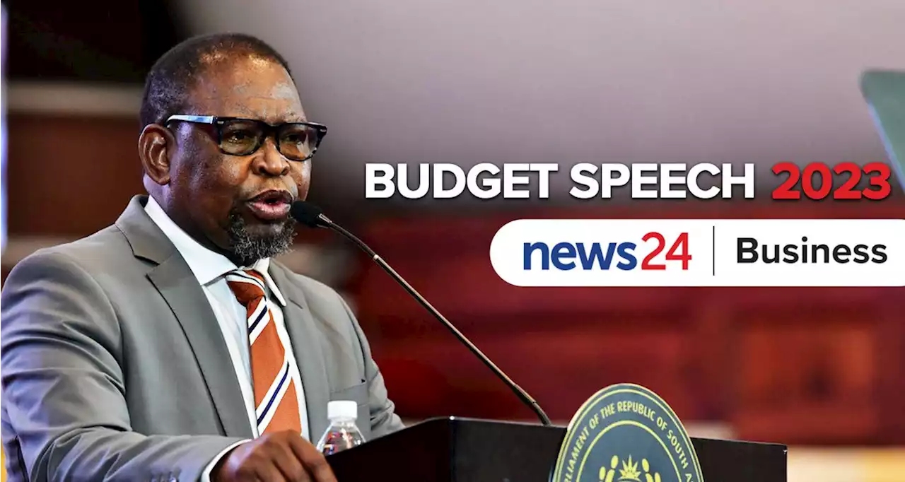 BUDGET LIVE | Debt service costs to reach almost R400 billion in 2025 | Business