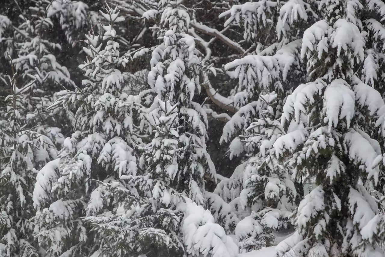 N.J. man among 3 killed in avalanche while hiking in Washington state