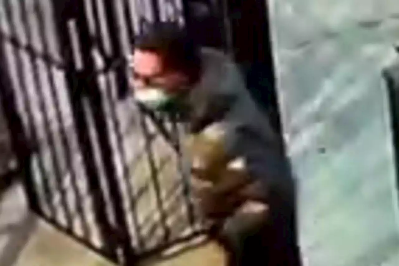 NYC mugger throws woman, 64, to ground in brutal purse snatching