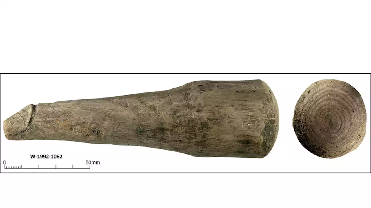 Hallaron un consolador de madera en las ruinas de un fuerte romano en Inglaterra | Tiene una antigüedad de 2.000 años