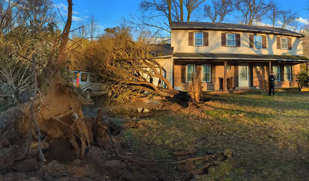 Confirmed tornado hit N.J., downing trees and damaging homes