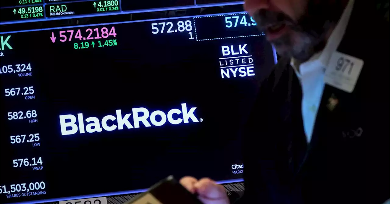 BlackRock 'overweights' Treasuries, emerging markets stocks