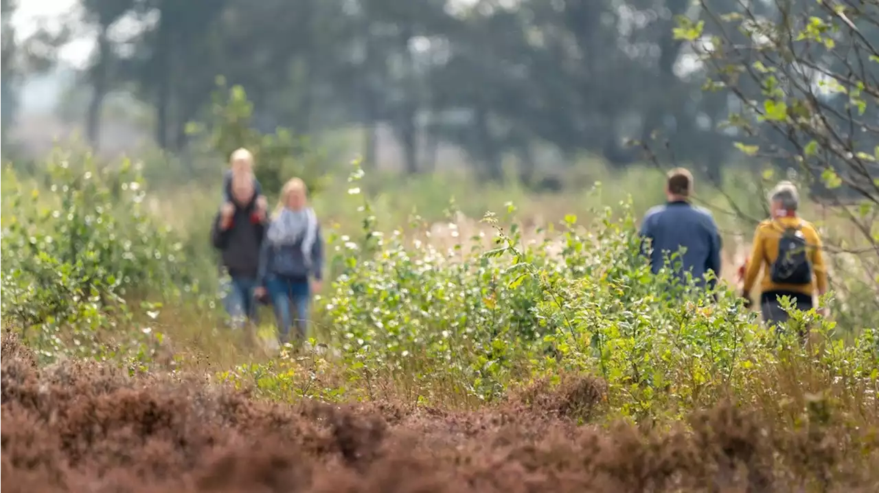 Toerisme in Drenthe in de lift