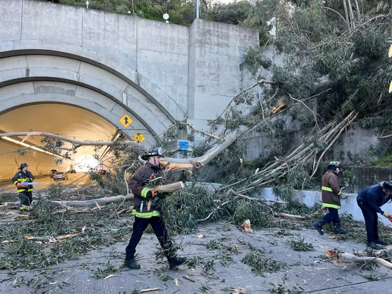 Fallen tree on SF Bay Bridge leaves traffic at standstill