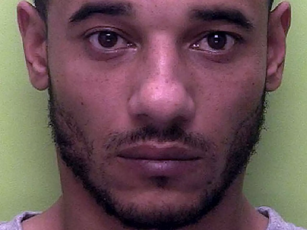 Drug dealer jailed after cannabis worth up to £1m intercepted at airport