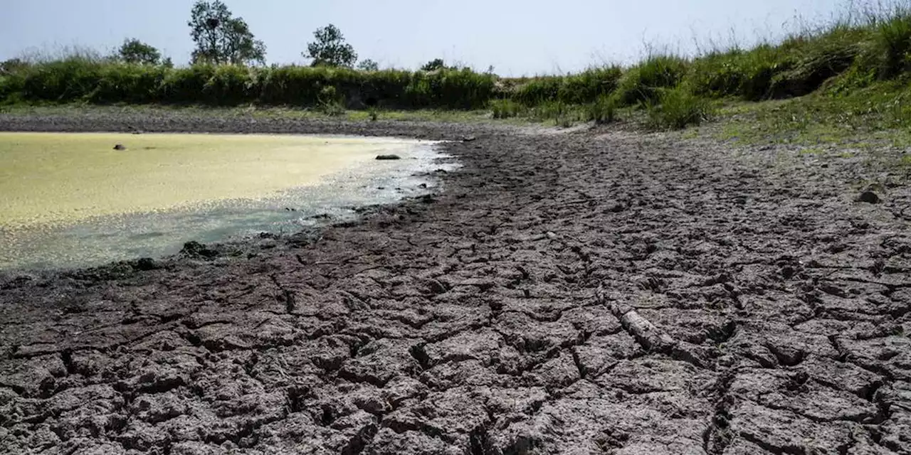 Sécheresse : des restrictions envisagées dès le mois de mars