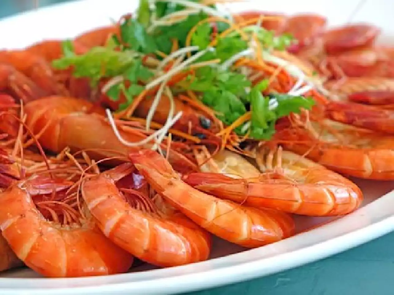 Kandungan dalam Udang yang Baik buat Tubuh