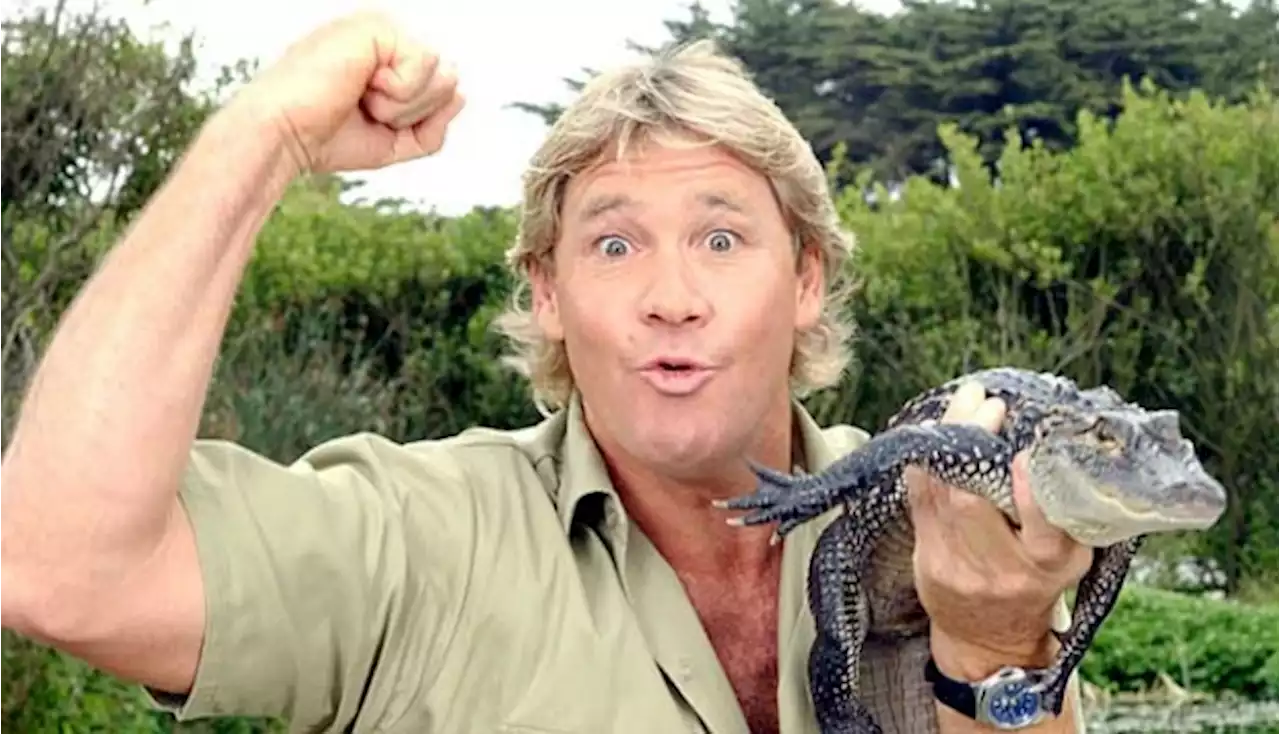 Mengenang Steve Irwin, Pemburu Buaya yang Tewas Disengat Ikan Pari