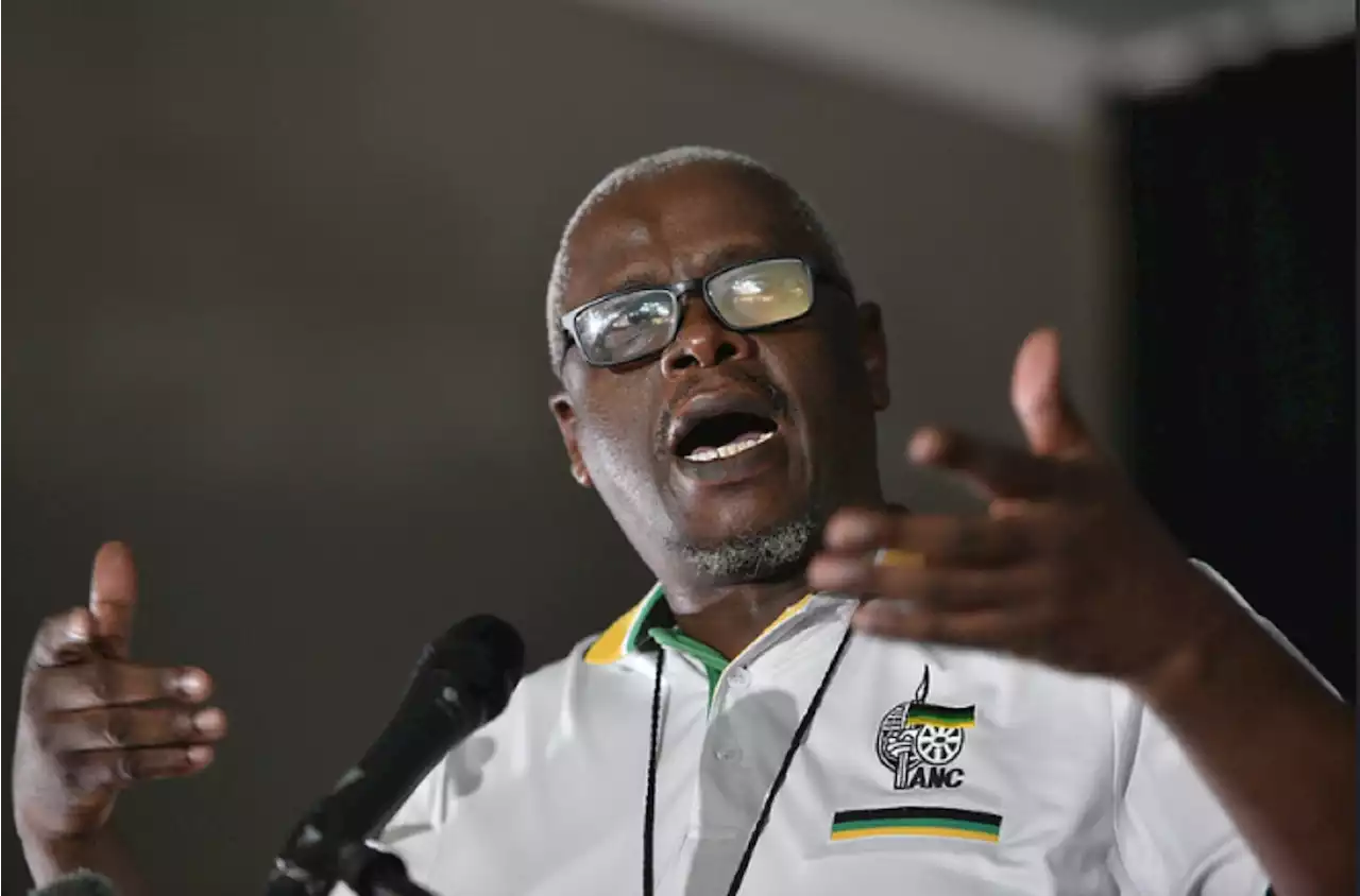 Mbalula tells Free State ANC Dukwana is Luthuli House's preferred candidate for premier | The Citizen