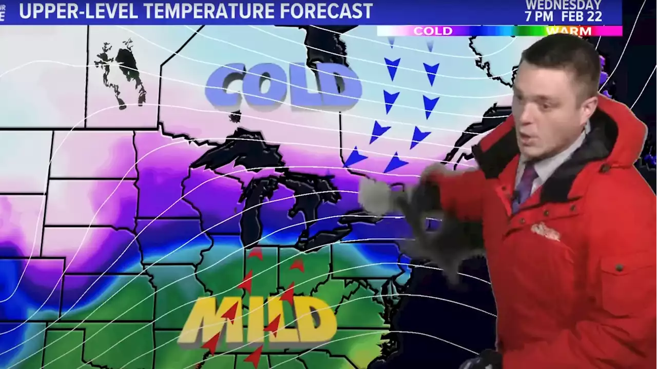 Cat Chase Interrupts Local News Station’s Weather Report