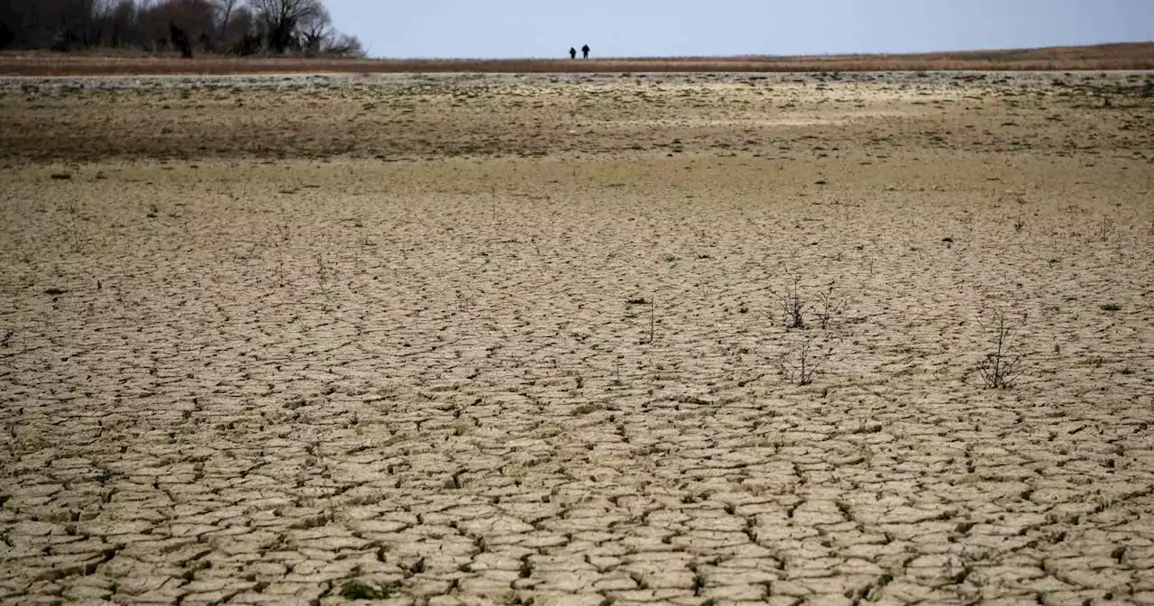 Uitzonderlijke winterdroogte in Frankrijk: langste periode zonder neerslag ooit gemeten