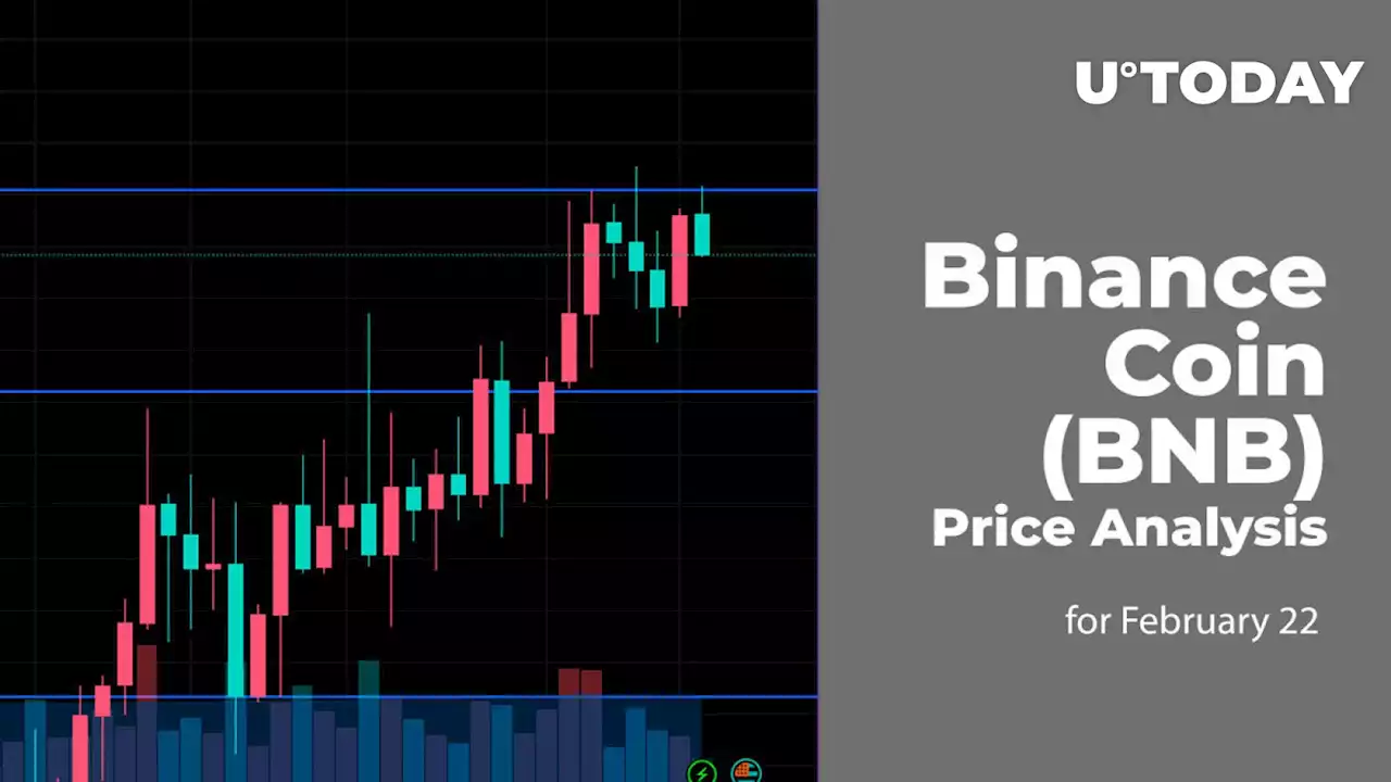 Binance Coin (BNB) Price Analysis for February 22