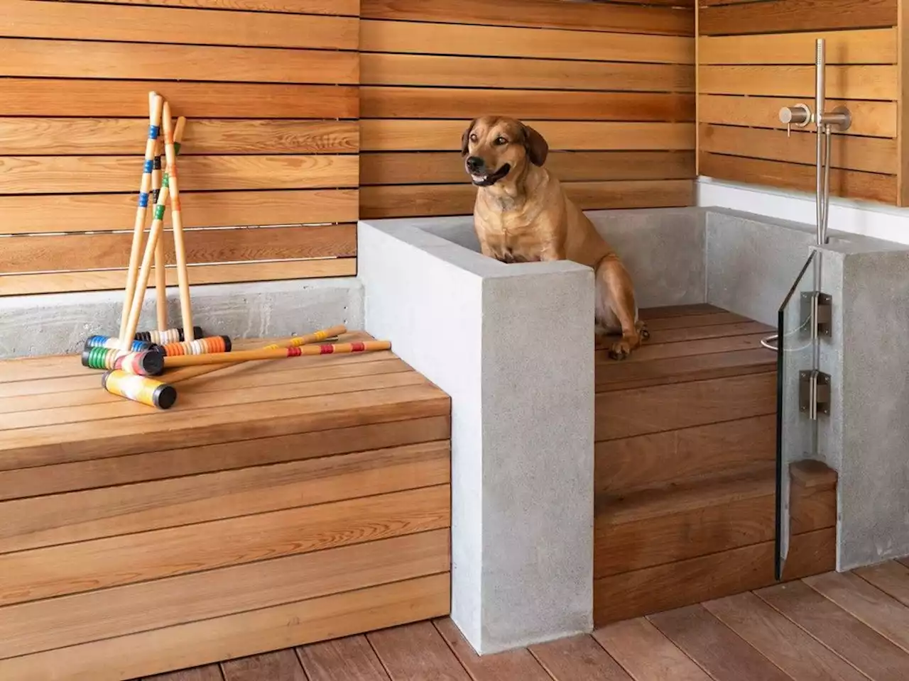 The Home Front: High-end home design for dogs