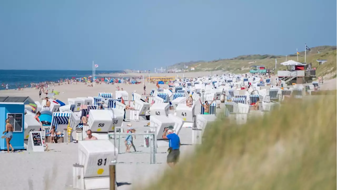 Urlaub an der Nordsee: Auswirkungen des Klimawandels – Ökosystem stark verändert