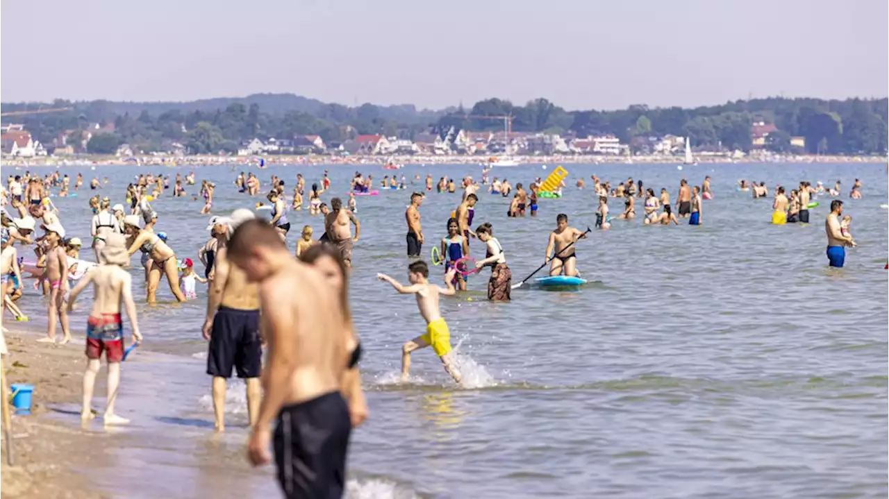 Urlaub an der Ostsee: Bakterien und Quallen werden großes Problem