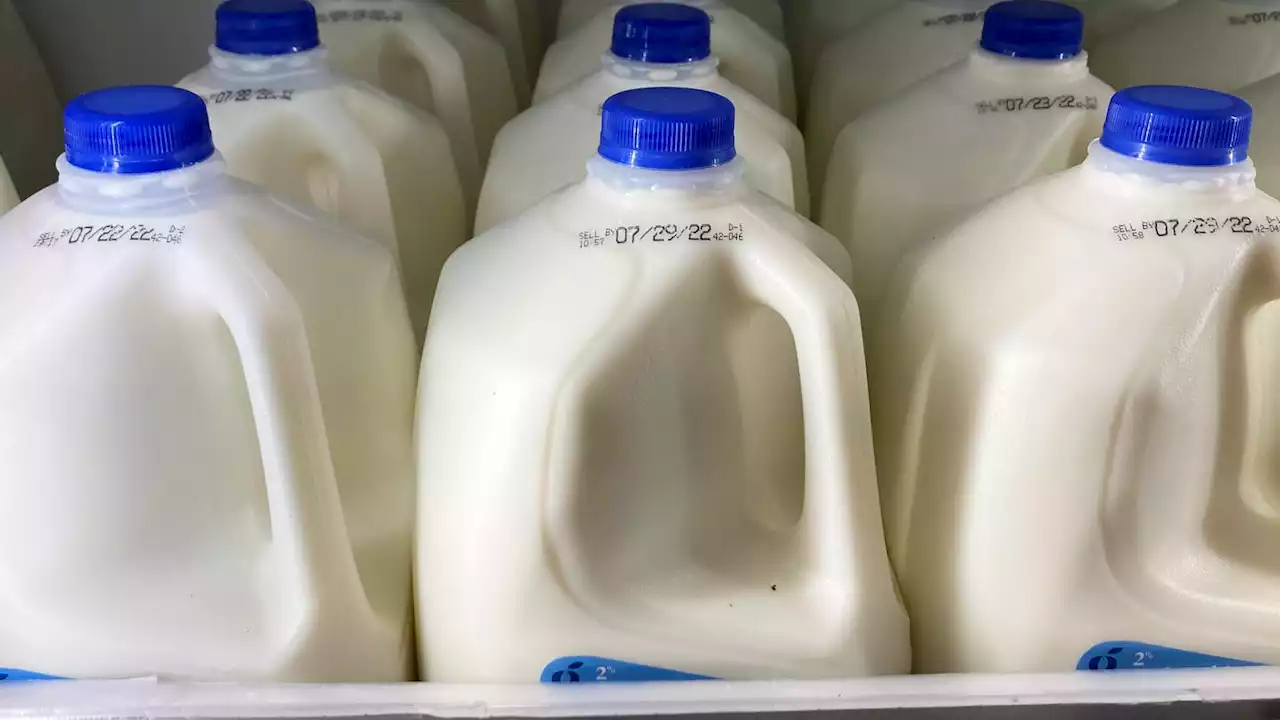 No cow needed: Oat and soy can be called milk, FDA proposes