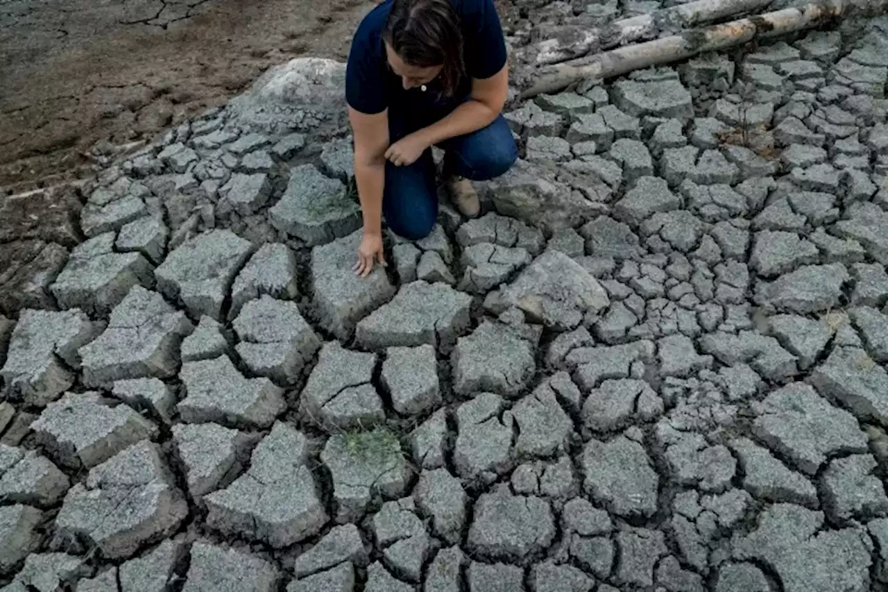 Parched California Misses a Chance to Store More Rain Underground