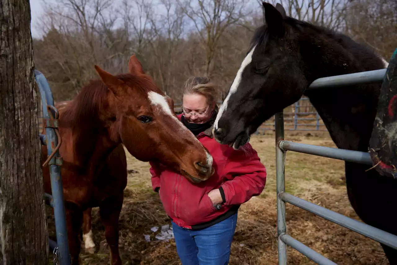 After Chemical Burn, Farm Owners Worry About a Cherished Way of Life