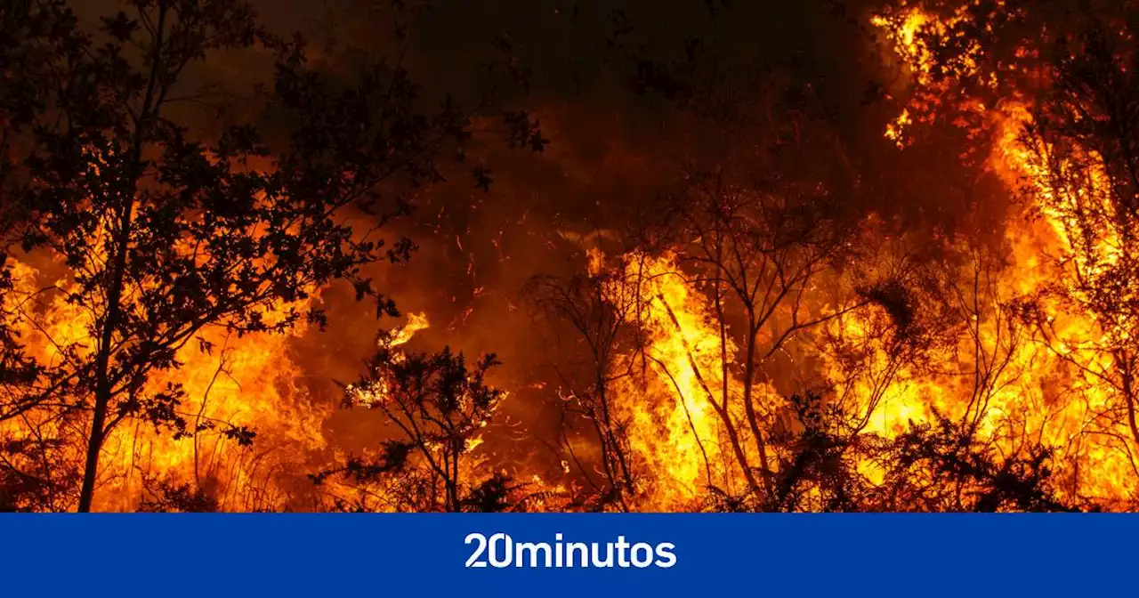 Así funciona Ecofire, el invento español capaz de acabar con los incendios que también es comestible
