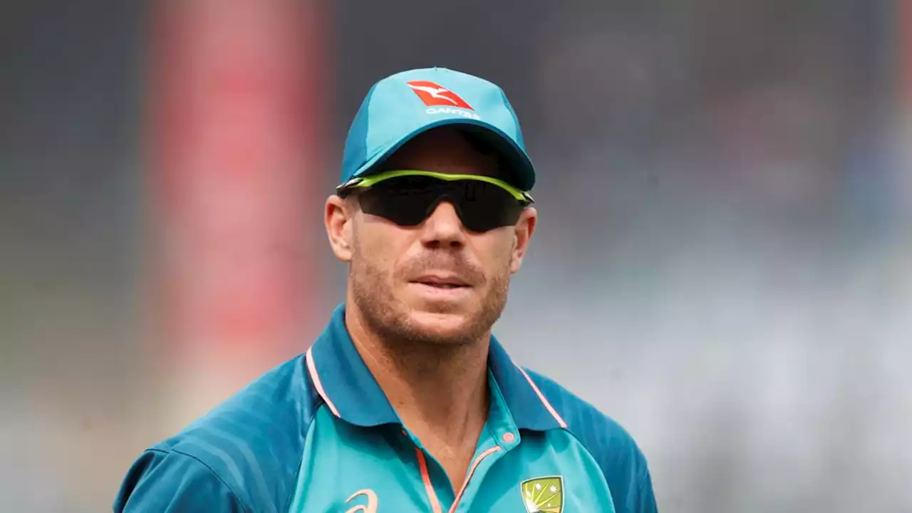 Australia make call on David Warner for ODI series in India