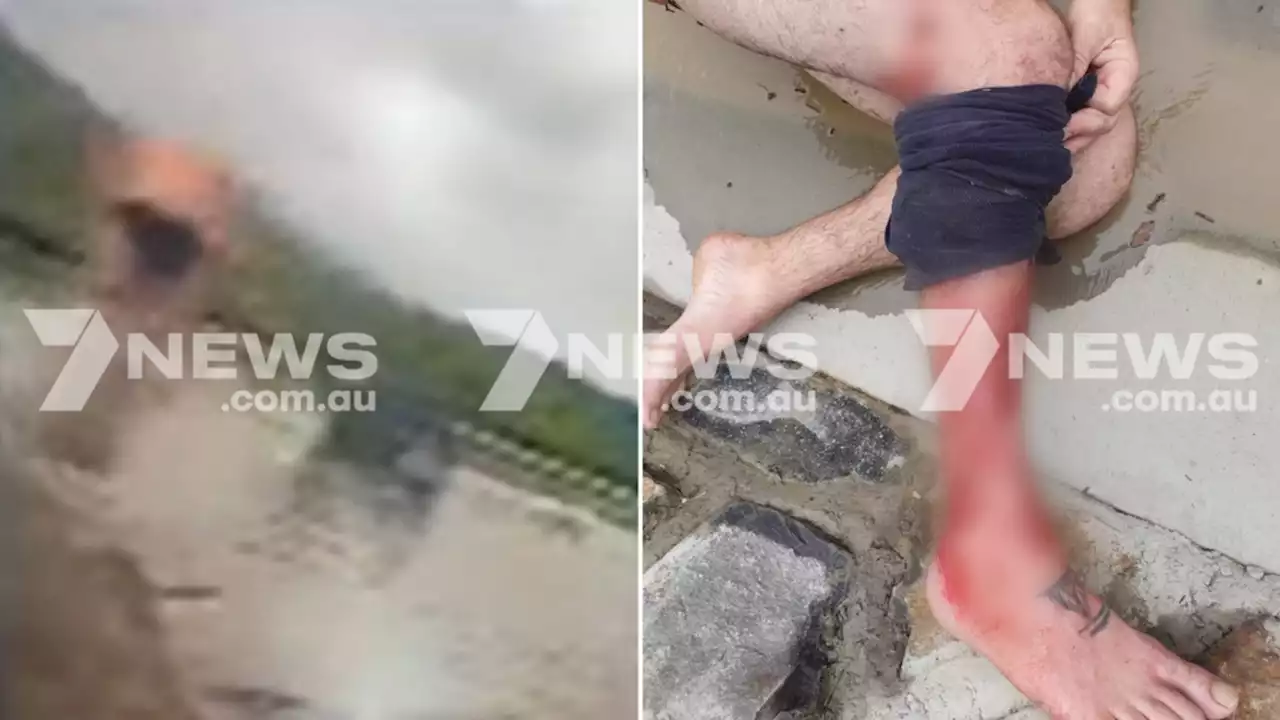 Terrifying moment croc strikes unsuspecting man and dog in Queensland waters