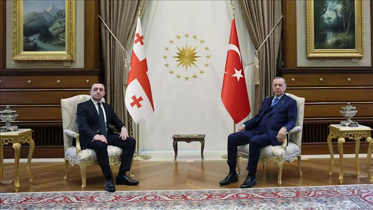 دیدار اردوغان با نخست‌وزیر گرجستان در آنکارا