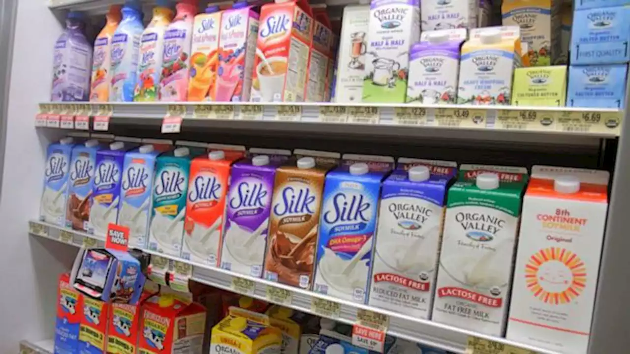 FDA proposes new labeling, marketing guidance for plant-based and non-dairy milk alternatives