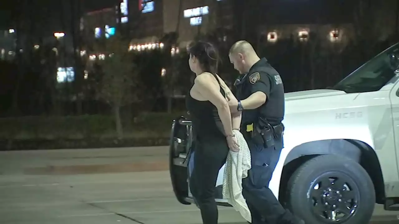 Woman who drove wrong way on SH-99, hit deputy's vehicle, charged with DWI, HCSO says