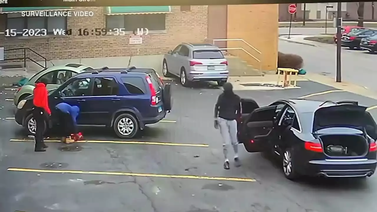 Catalytic converter theft in Chicago business's parking lot caught on video