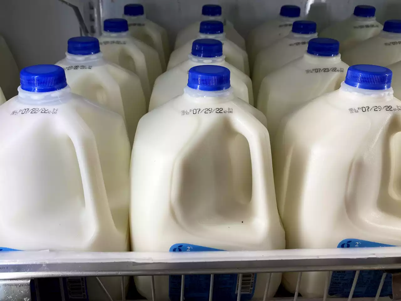 No cow needed: plant-based beverages can be called milk, FDA proposes