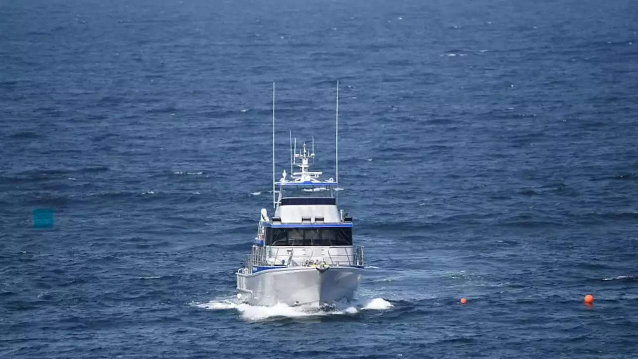 Pour préserver sa faune marine, l'Australie crée une zone protectrice aussi grande que l'Allemagne