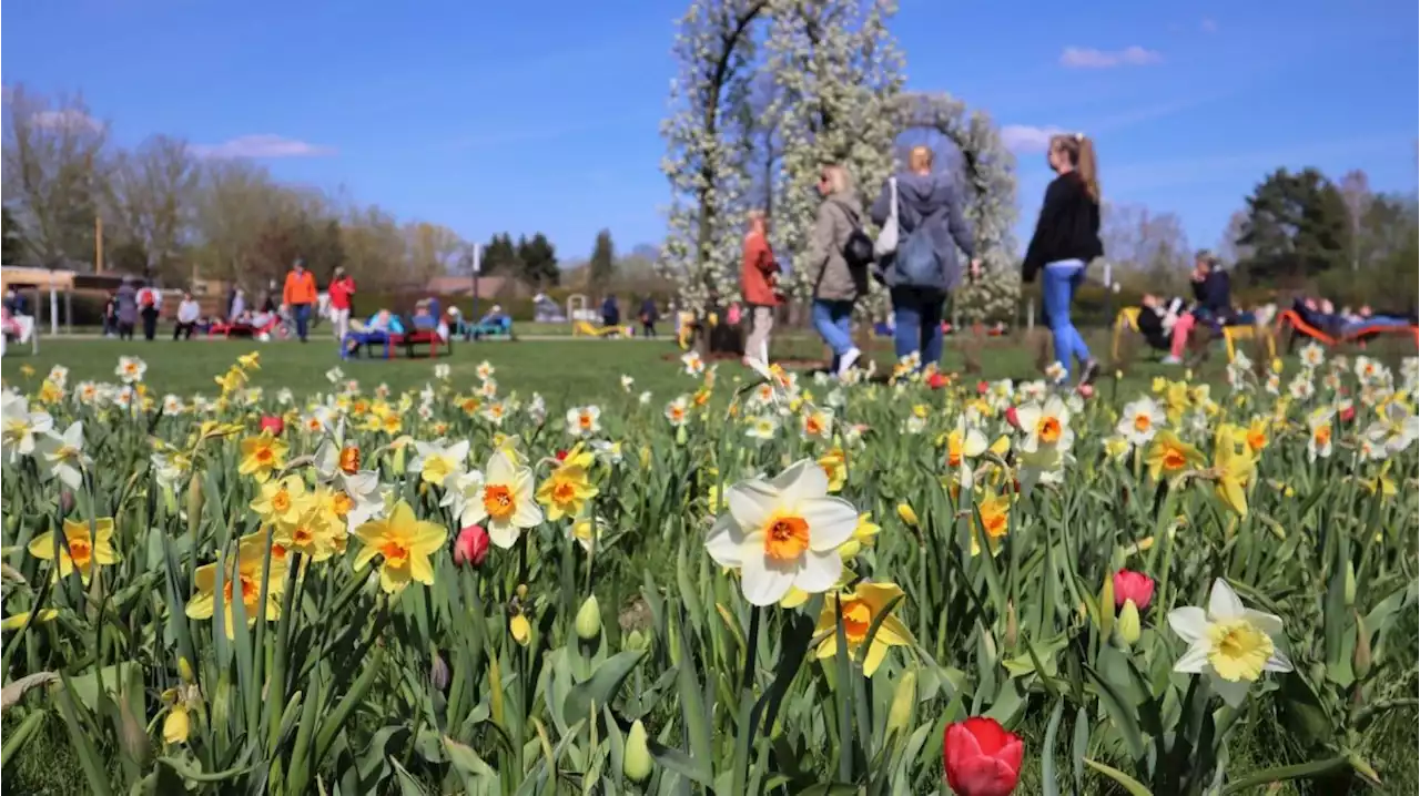 Landesgartenschau Beelitz setzt Maßstäbe, Großevent zieht vorläufige Bilanz – Pressemitteilung der Stadt Beelitz --- (Cityreport24-Nachrichtenblog)