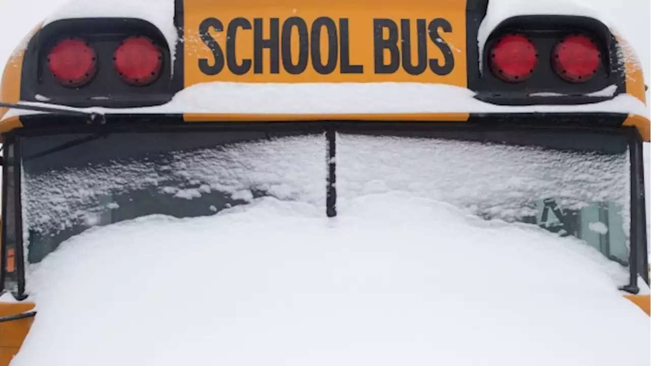 School, bus cancellations in effect Thursday as Ontario gets hit with snowstorm