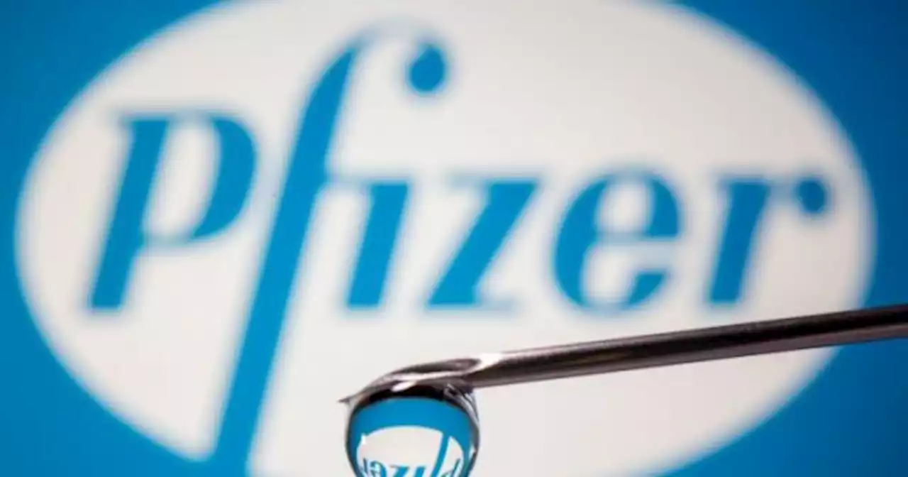 Nueva CEO para Pfizer en la Argentina: qui�n es y de qu� empresa viene