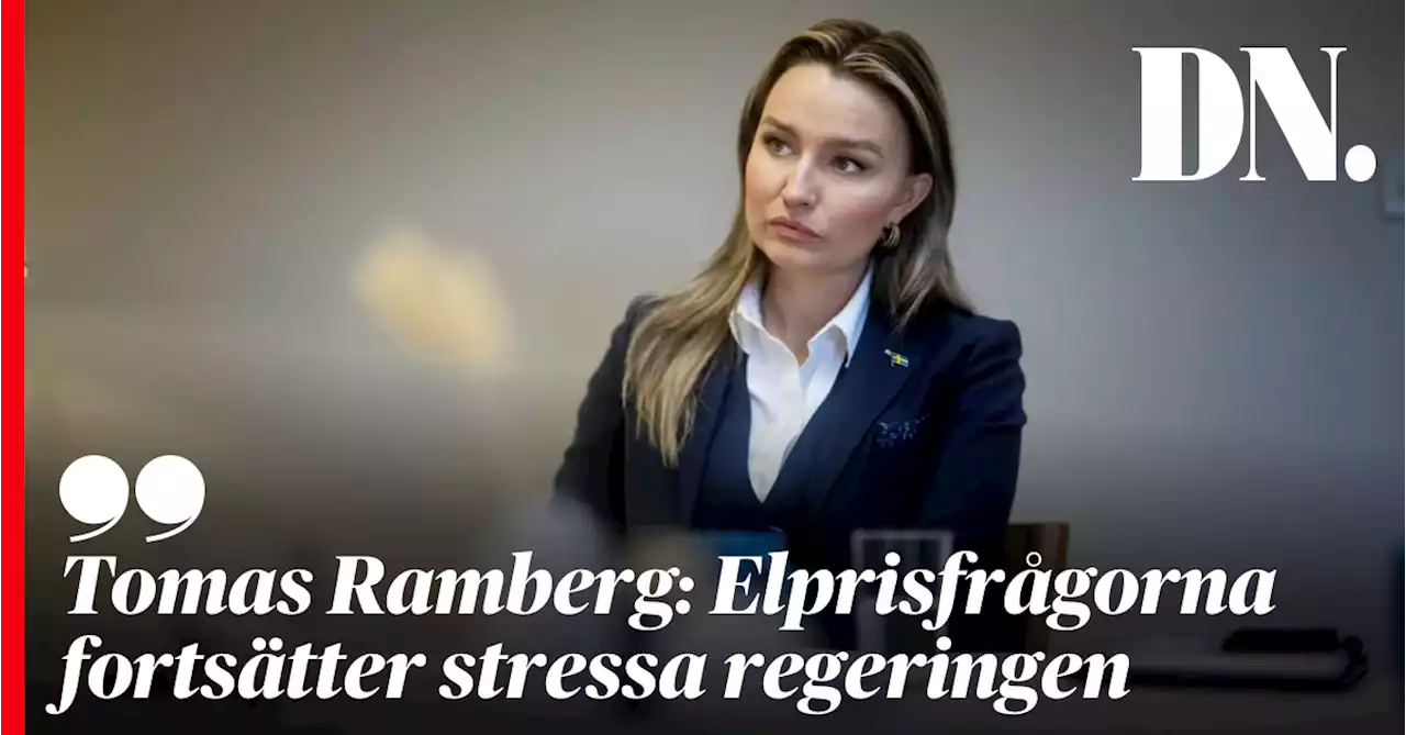 Tomas Ramberg: Elprisfrågorna fortsätter stressa regeringen