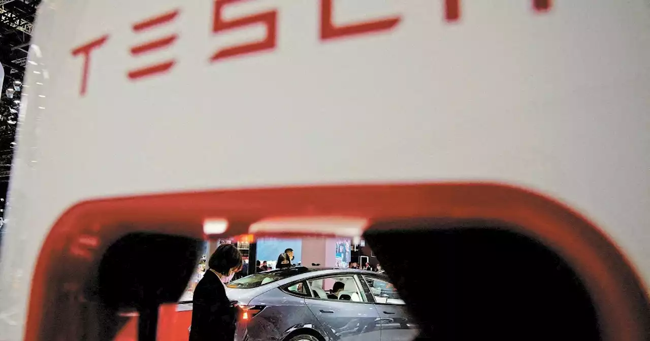 La inversión de Tesla no está en riesgo, la armadora apostó por México: José Abugaber