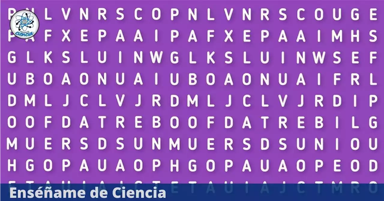 ¿Podrías ubicar rápidamente la palabra “COCODRILO” en el acertijo visual del momento?