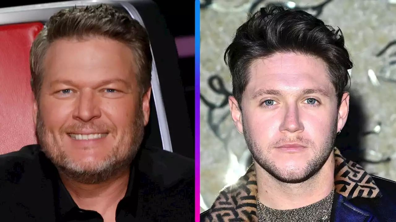 Watch Niall Horan's Surprising Blake Shelton Impression