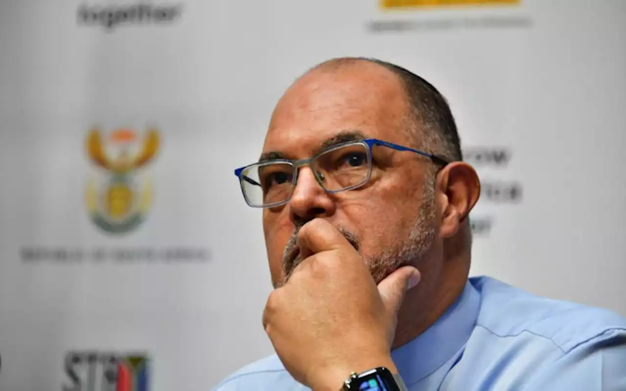 Kieswetter: Sars making steady progress clamping down on tax fraudsters