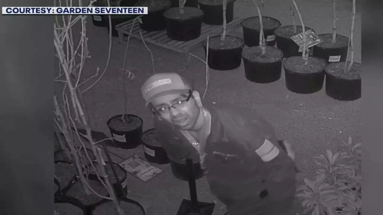 Burglar caught on camera breaking into North Austin garden store four times