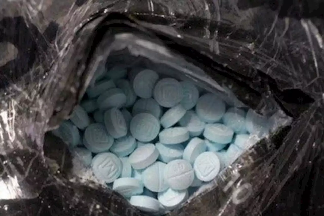 Fentanyl-related deaths hold steady in major cities