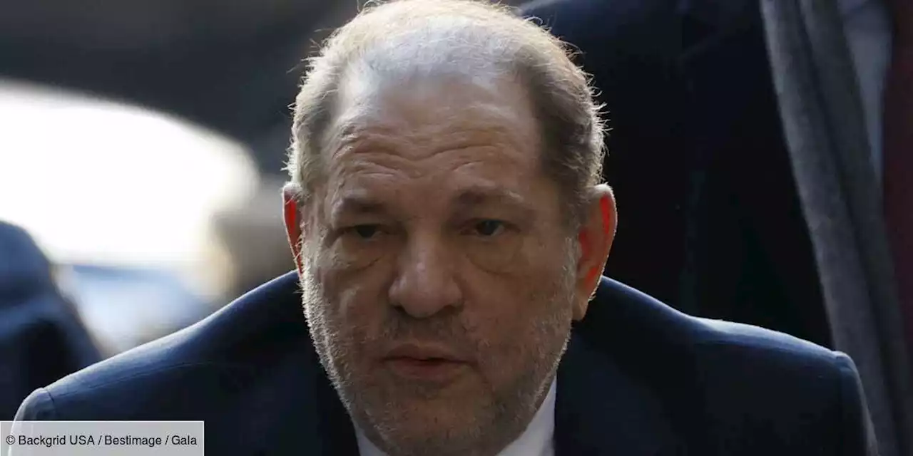 Harvey Weinstein en appel au tribunal : le producteur déchu n'est pas sorti d'affaire - Gala