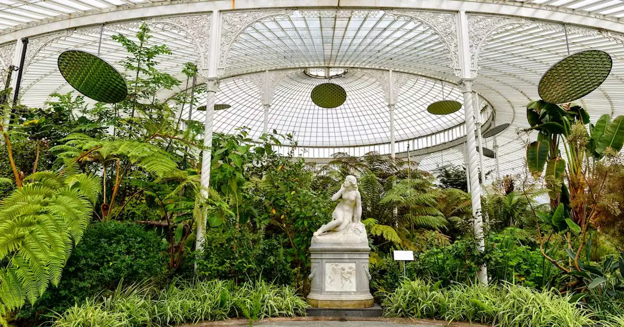 Plans to introduce Kibble Palace entry charge spark outrage among Glaswegians