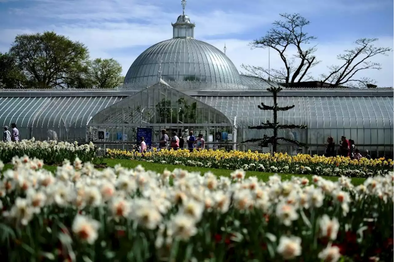 Revealed: How much it will cost to visit Botanic Gardens glasshouses with new charge