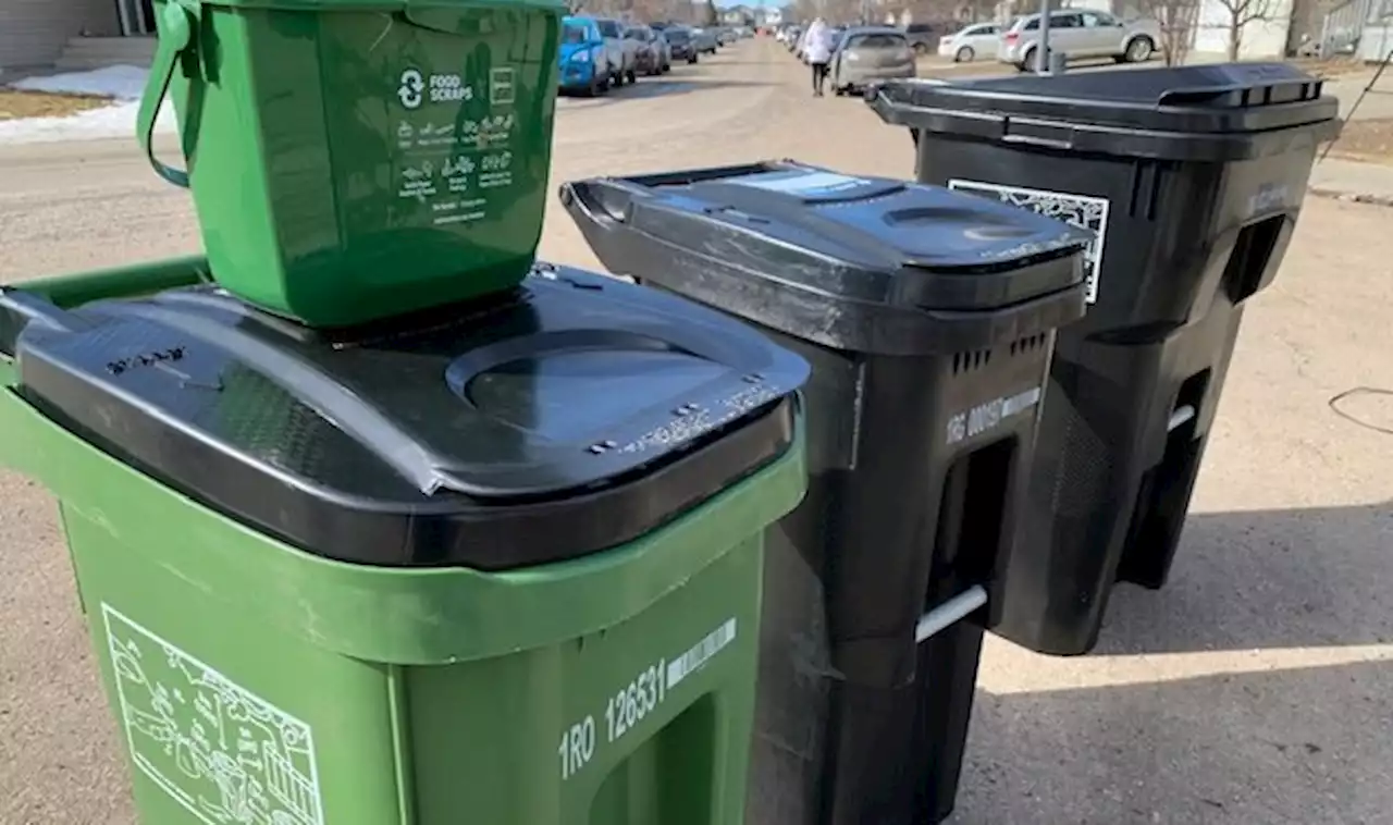 Food scraps collection coming to Edmonton apartments and condos - Edmonton | Globalnews.ca