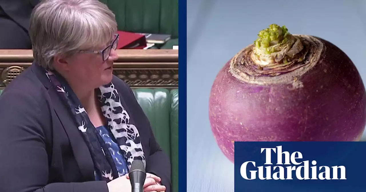 Environment secretary urges Britons to ‘cherish’ turnips amid food shortages