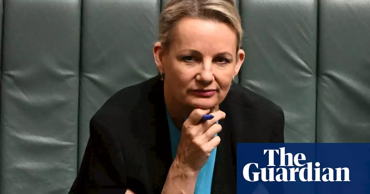 ‘Re-election vanity project’: Sussan Ley derides Anthony Albanese’s voice referendum campaign